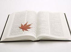 云开官网-美媒发问：未来5年你会围绕谁建队，班凯罗还是坎宁安？，班vs凯多少集