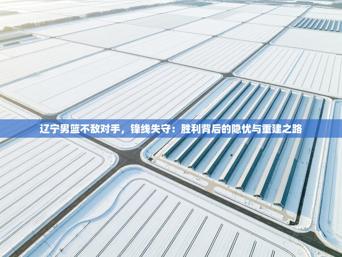 开云中国kaiyun·体育官方网站-辽宁男篮不敌对手，锋线失守：胜利背后的隐忧与重建之路  第3张